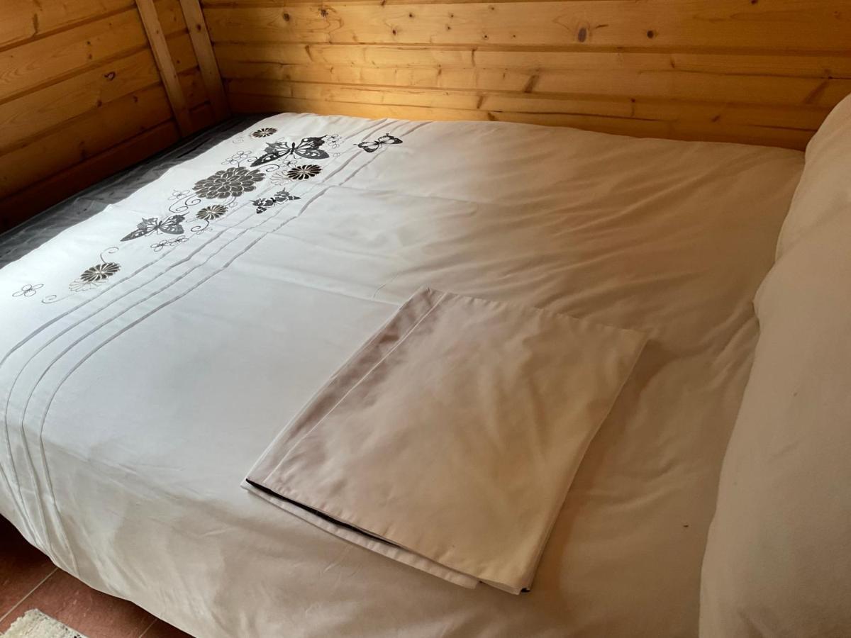 Villa Cosy Countryside Cabin à Inverness Extérieur photo